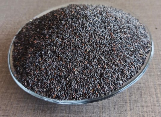 Tukham-e-Balangu/Basil seeds (Tukham-e-Malanga)